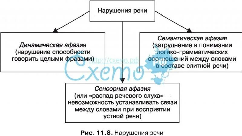 Номинативная функция речи при афазии. Причины афазии схема. нарушение речи при афазии. динамическая форма афазии. речь при динамической афазии.