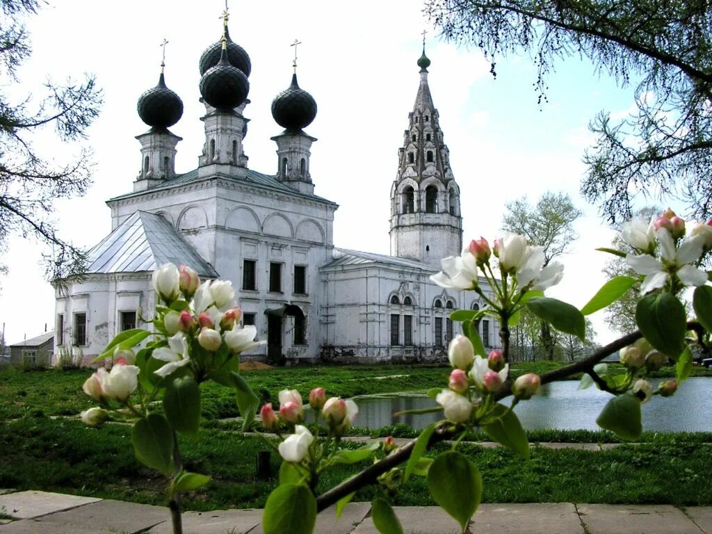 Кострома туры выходного. Церковь Воскресения Христова (Сусанино). Село Сусанино Костромская область. Храм в Сусанино Костромской области. Церковь Воскресения Христова в Молвитино ( Сусанино.