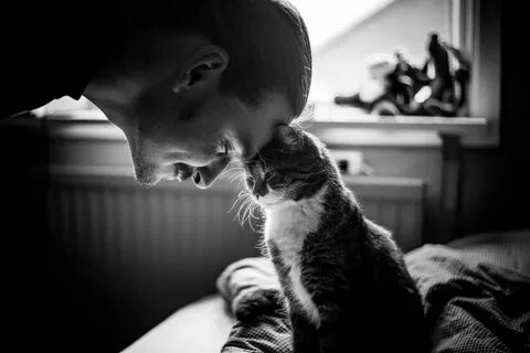 Cat man