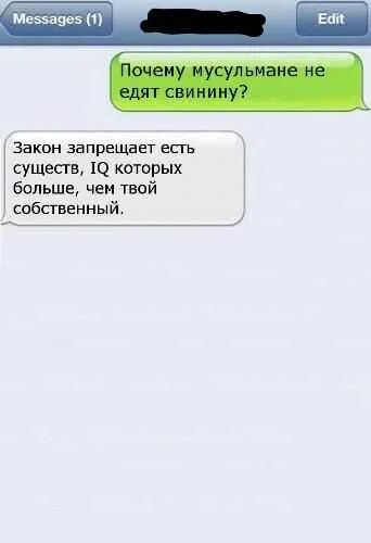 Почему мусульмане не едят днем. Почему мусульмане не едят свинину. Почему мусульманам нельзя есть свинину. Почему мусульманам нельзя есть свинину история. Почему свинина запрещена в Исламе.