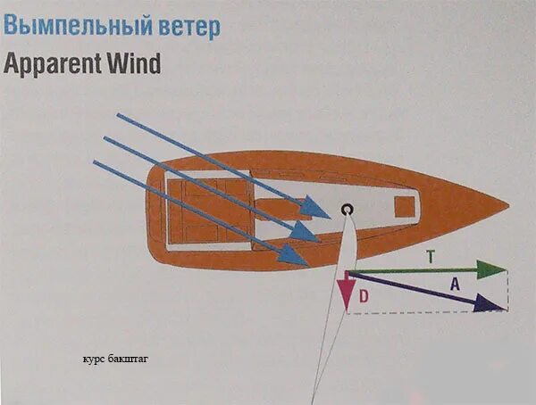 Курсы яхты относительно ветра. Направления парусной яхты. Левентик бейдевинд галфвинд Бакштаг Фордевинд. Бакштаг правого Галса.