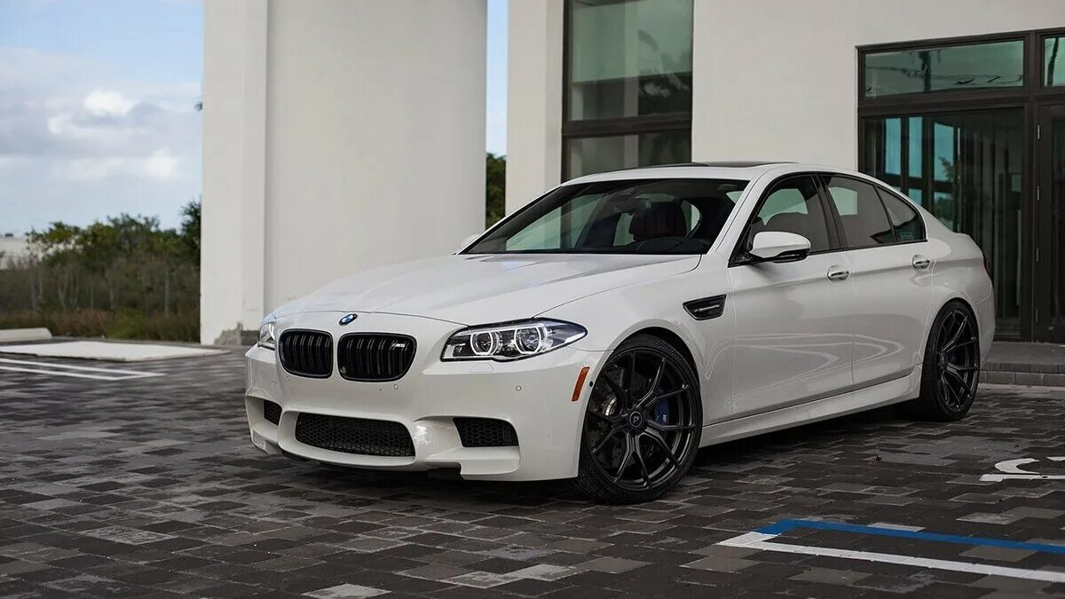 Bmw f10 m. BMW m5 f10. БМВ ф10 белая. BMW m5 белая. БМВ 5 f10.