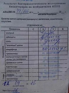 Анализы на инфекции в москве