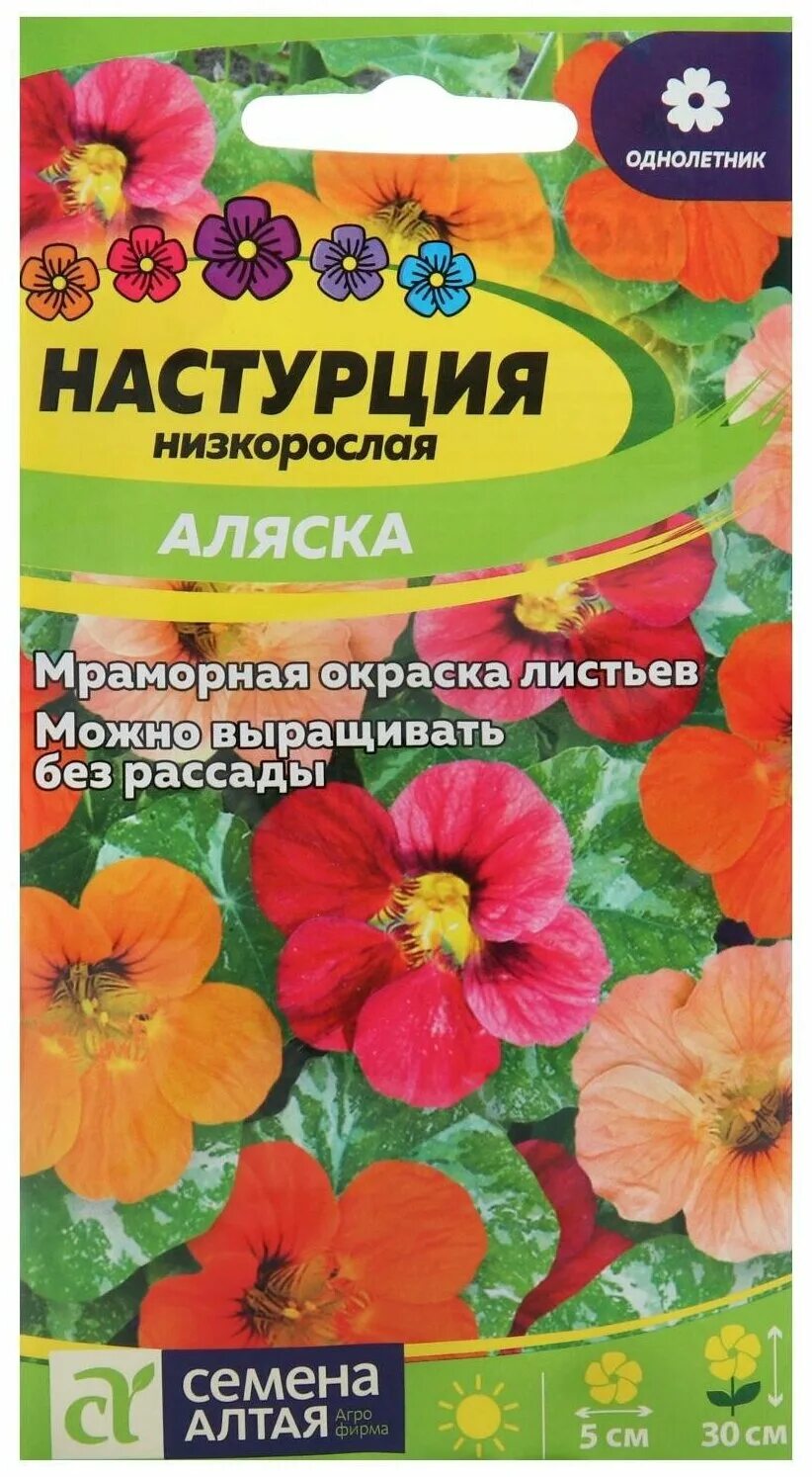 Настурция аляска