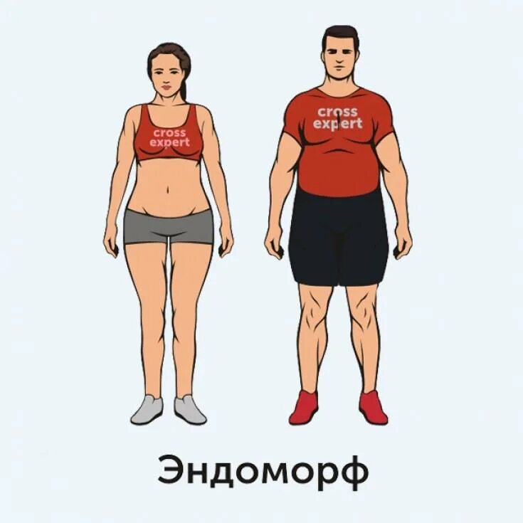 Экто эндоморф. Тип телосложения эктоморф мезоморф. Endomorph. Бодибилдер эктоморф и мезоморф. Типы телосложения эктоморф мезоморф эндоморф.