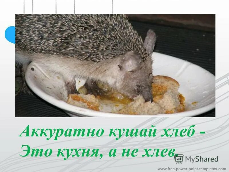 Ешьте аккуратнее. Аккуратно кушай хлеб это кухня а не хлев. Кушай аккуратно. Стих аккуратно кушай хлеб. Аккуратно кушай рисунки.