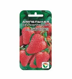 Сибирский сад интернет