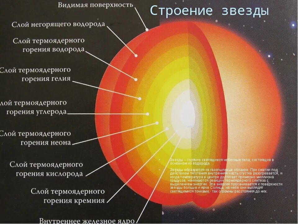 Строение звезды солнца. Внутреннее строение солнца и звезд. Внутренняя структура звезд. Внутреннее строение звезд кратко. Внутреннее строение звезд схема.