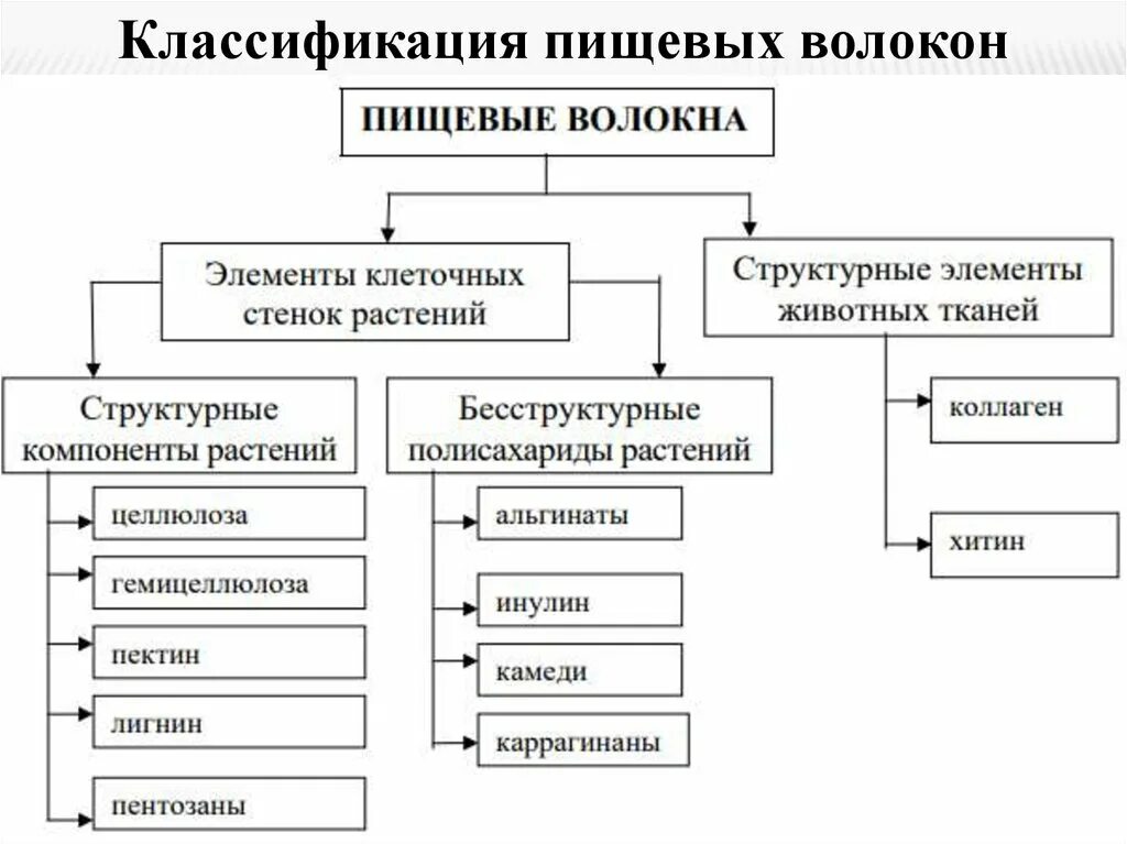 Подразделяется на два типа
