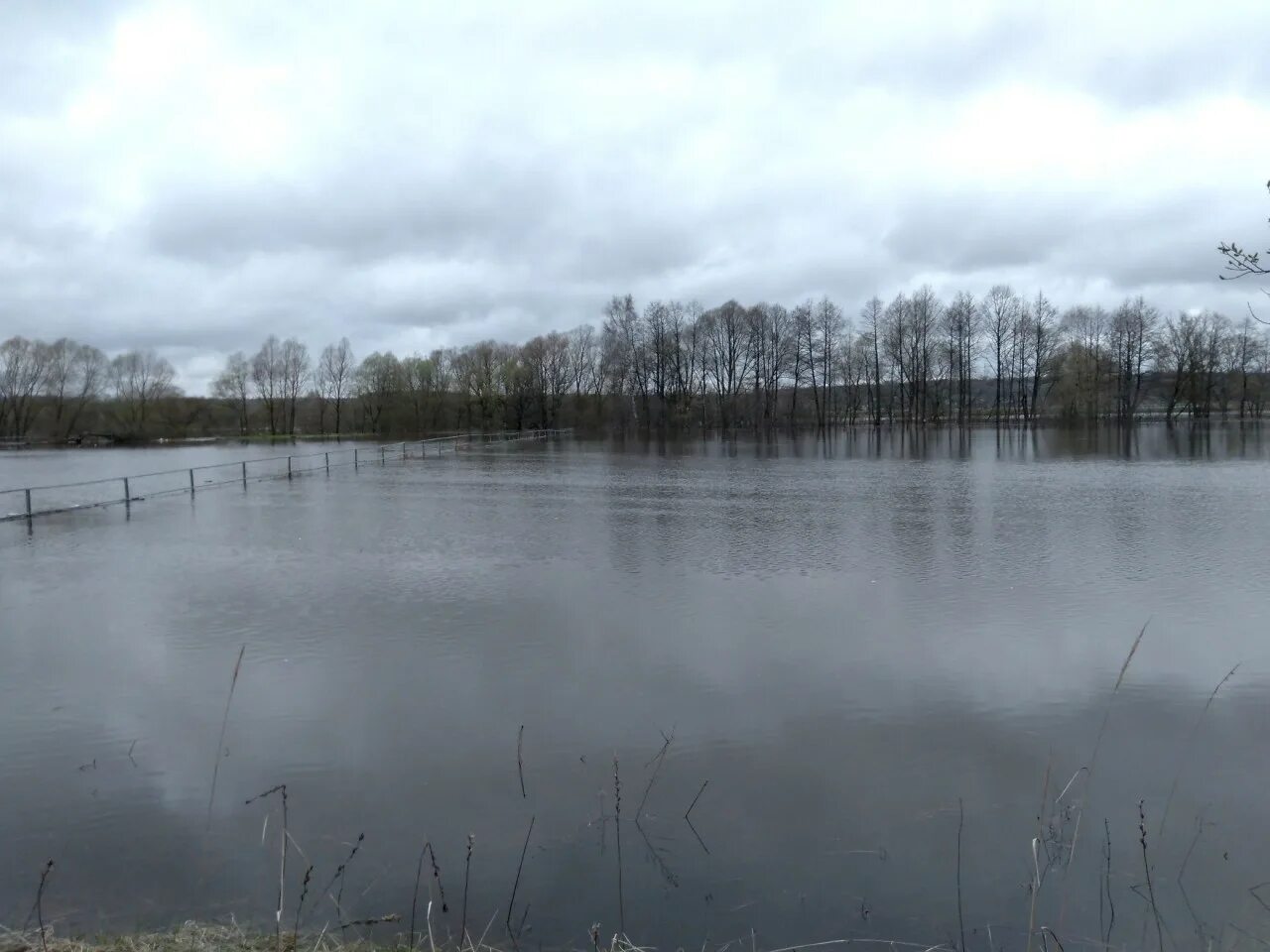 Уровень воды в жиздре козельск сегодня. Разлив Жиздры в Козельске. Разлив реки Жиздра в Козельске. Разлив реки Жиздра в Калужской области. Жиздра разлив в монастыре.