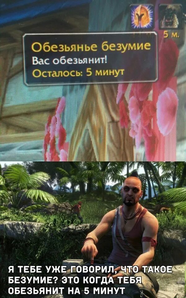 Обезьянье безумие. Обезьянье безумие вас. Вас обезьянит 5 минут. Обезьянье безумие. Monkey madness.
