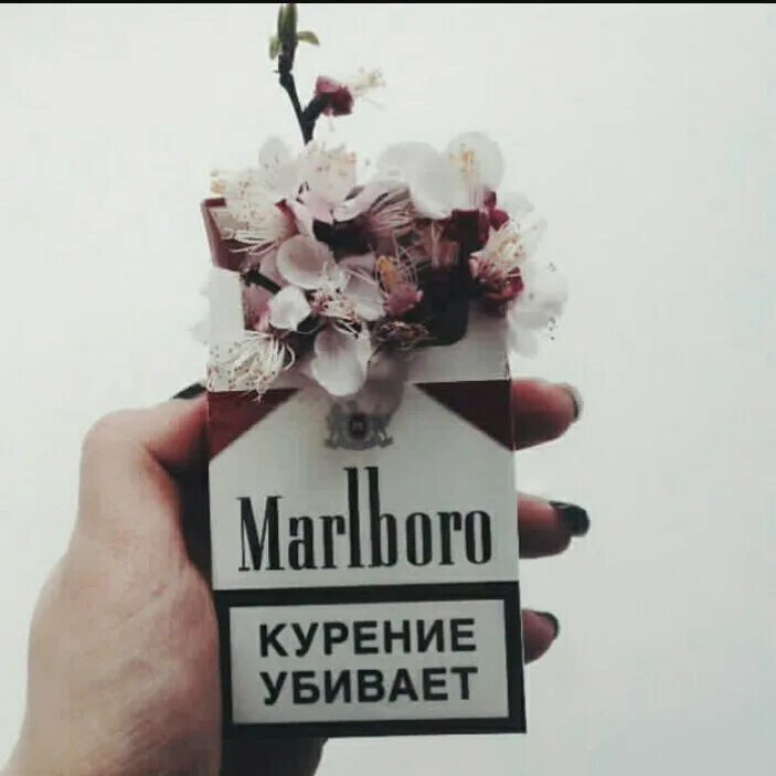Сигареты и цветы.