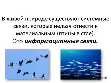 Для всего что существует в природе