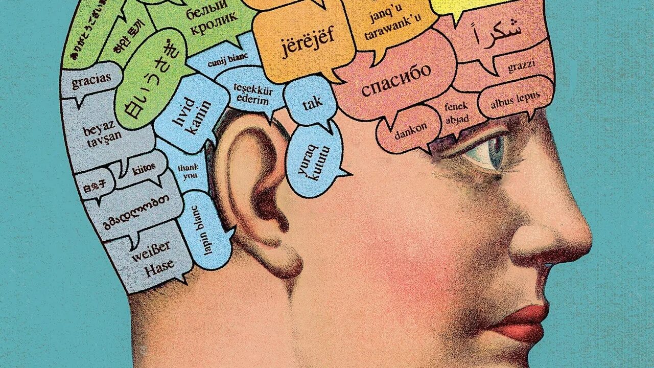 Brain languages. Мозг полиглота. Освоение языка. Психология иллюстрации.