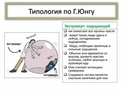 Типы личности юнга