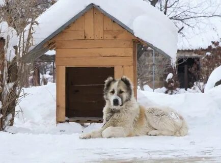 Зимние будки