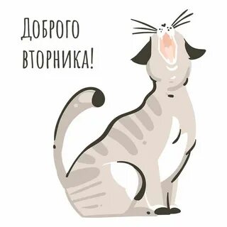 Доброго вторника прикольные