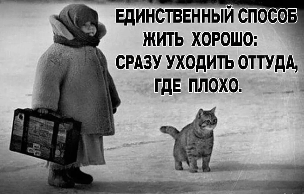 Взять под е т