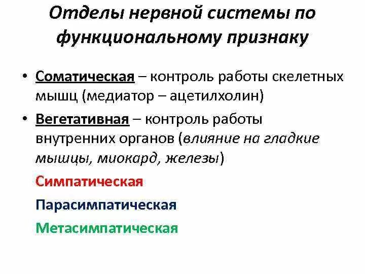 Подразделения нервной системы. Регуляция соматической нервной системы. Регуляция соматического отдела нервной системы. Соматическая регулирует работу скелетных мышц вегетативная. Отдел нервной системы регулирующий работу скелетной мускулатуры.