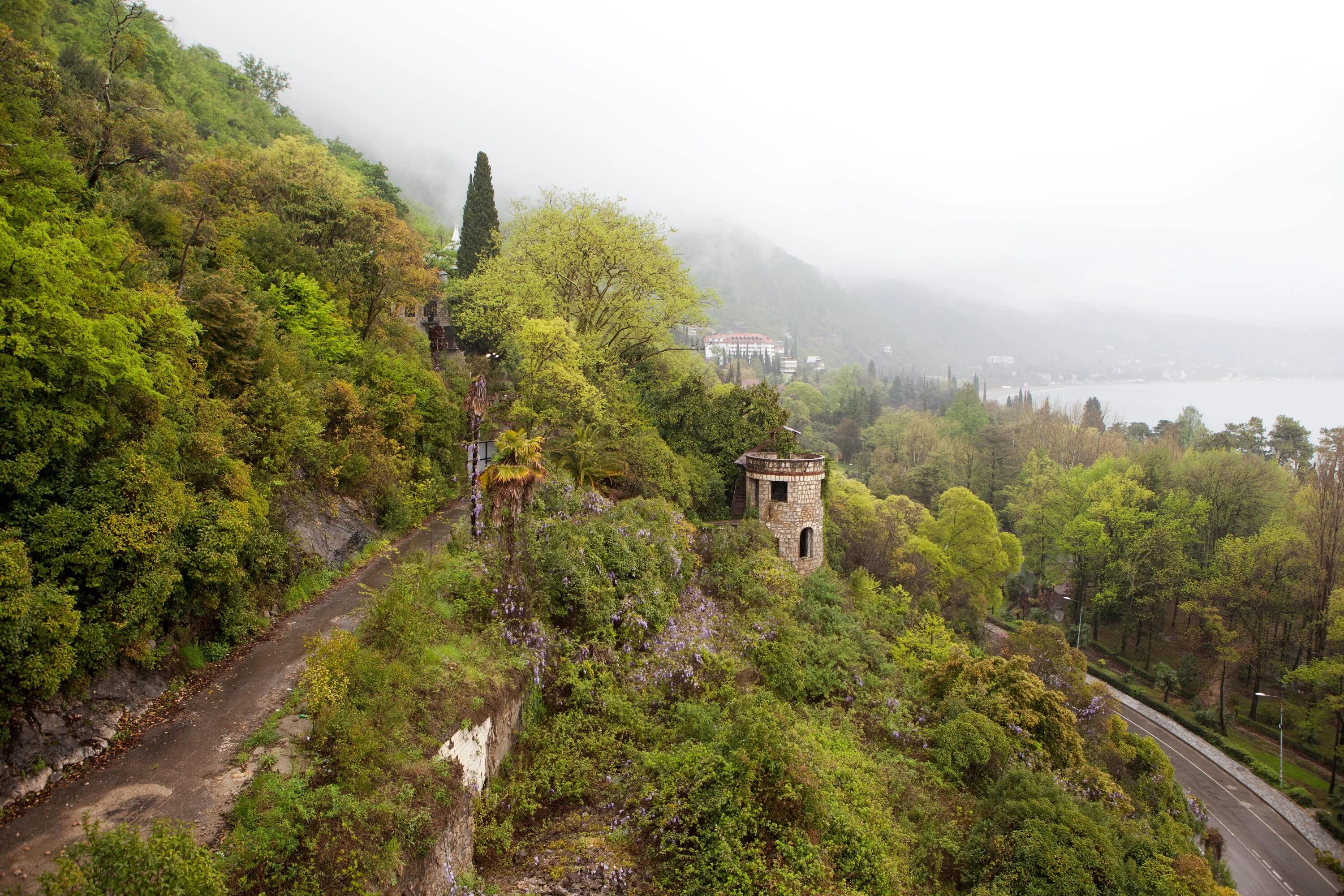 Путеводитель Гагра. Гагра красивые места. Заброшенная Гагра. Гагры фото. Гагра куда сходить