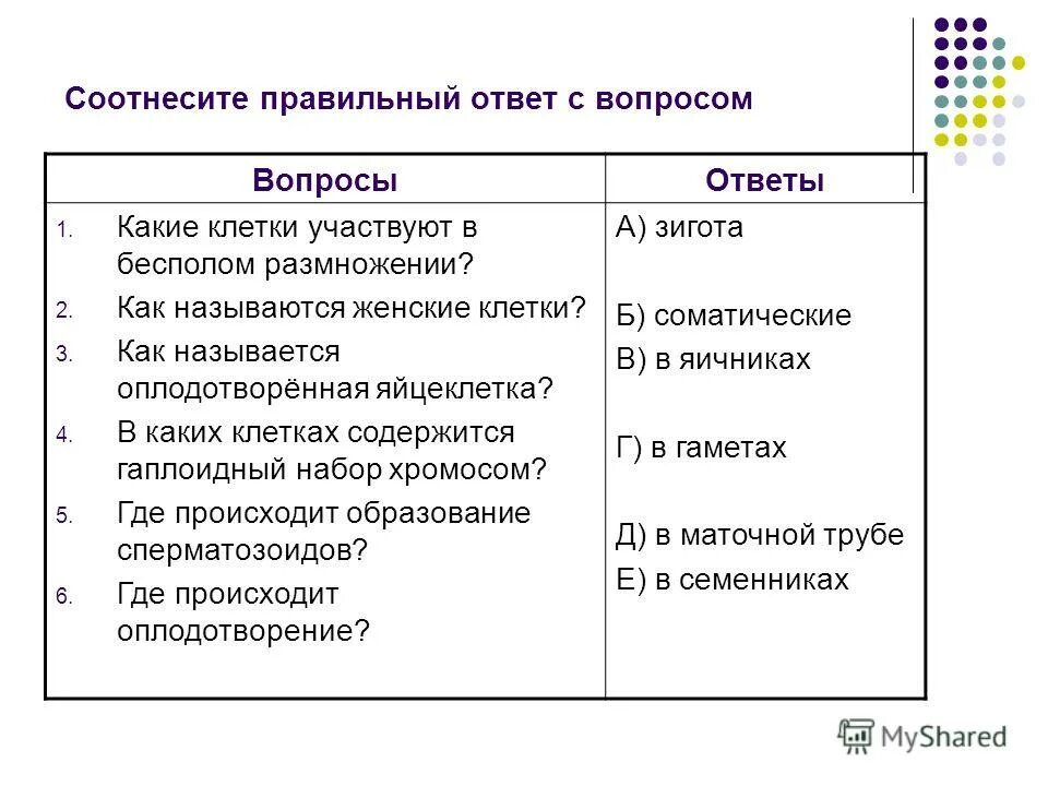 Какая клетка участвует в размножении