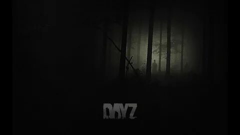 Черный экран dayz