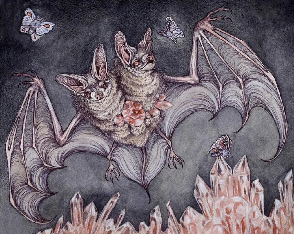 Мыши мифология. Кейтлин хэкетт летучие мыши. caitlin hackett летучая мышь. мифическая летучая мышь. мифы о летучих мышах.
