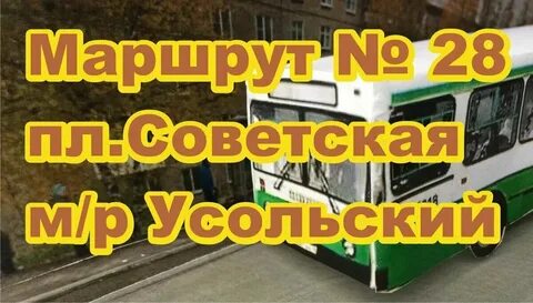28 автобус березняки