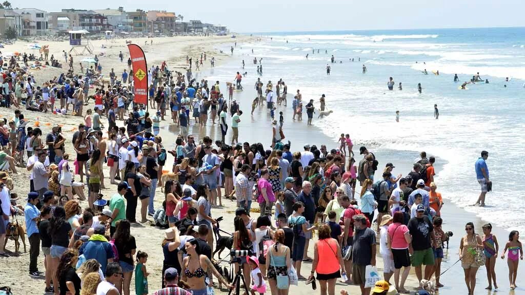 Население сан. Сан Диего жители. Сан Диего население. Население Сан-Диего 2020. Люди на пляже сверху.