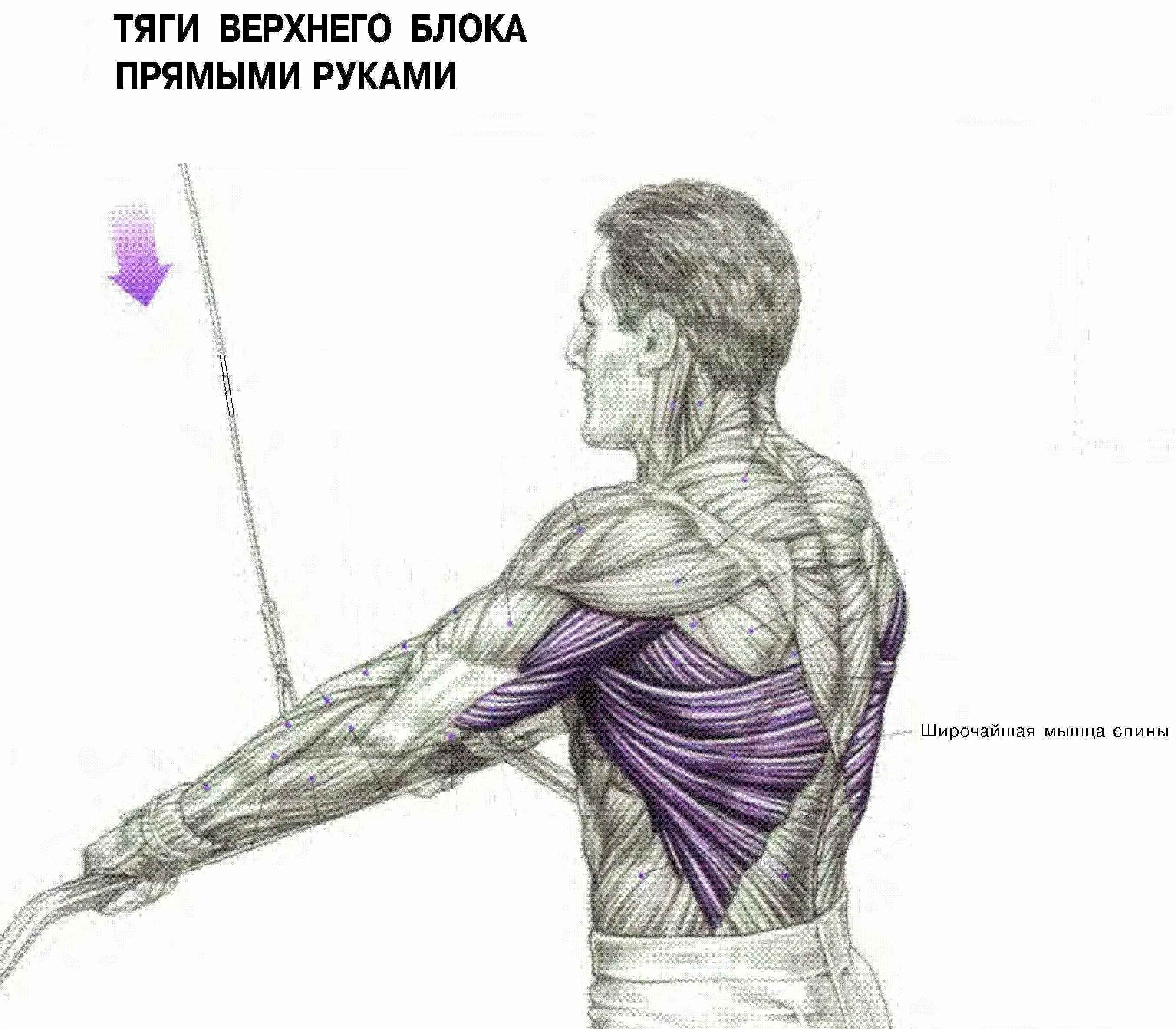 Кроссовер на верх. Тяга верхнего блока в кроссовере. тяга нижнего блока в кроссовере. тяга вертикального блока на грудные мышцы. пуловер на верхнем блоке в кроссовере стоя.