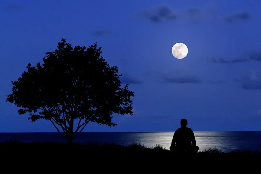 Одиночество в ночи. Одинокий человек и Луна. Человек под луной. Луна одиночество.