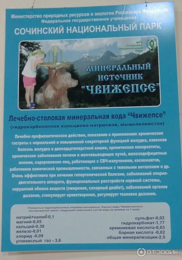 Вода чвижепсе. Минеральная вода чвижепсе в сочи. минеральный источник чвижепсе сочи. нарзанский источник чвижепсе. минеральный источник «чвижепсе» (100р., по желанию).