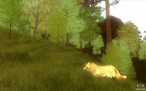 Wildlife build