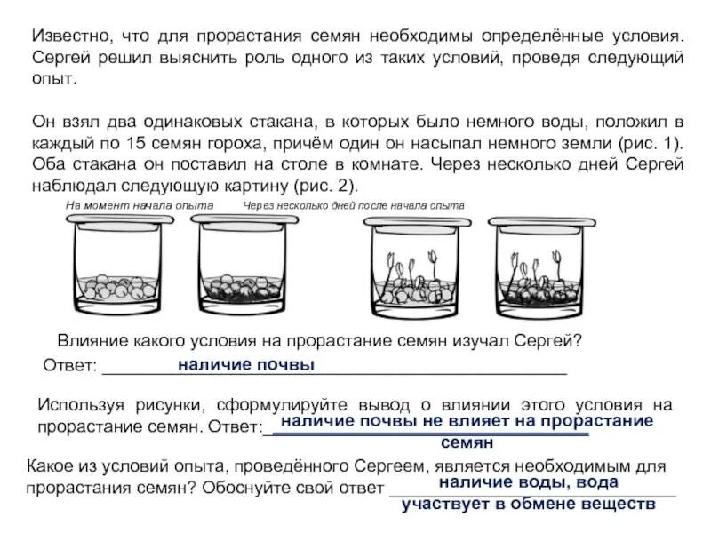 Известно что прорастание семян необходимы определенные условия. Влияние условий на прорастание семян. влияние температуры на прорастание семян. опыт влияние условий на прорастание семян. опыт по всхожести семян.