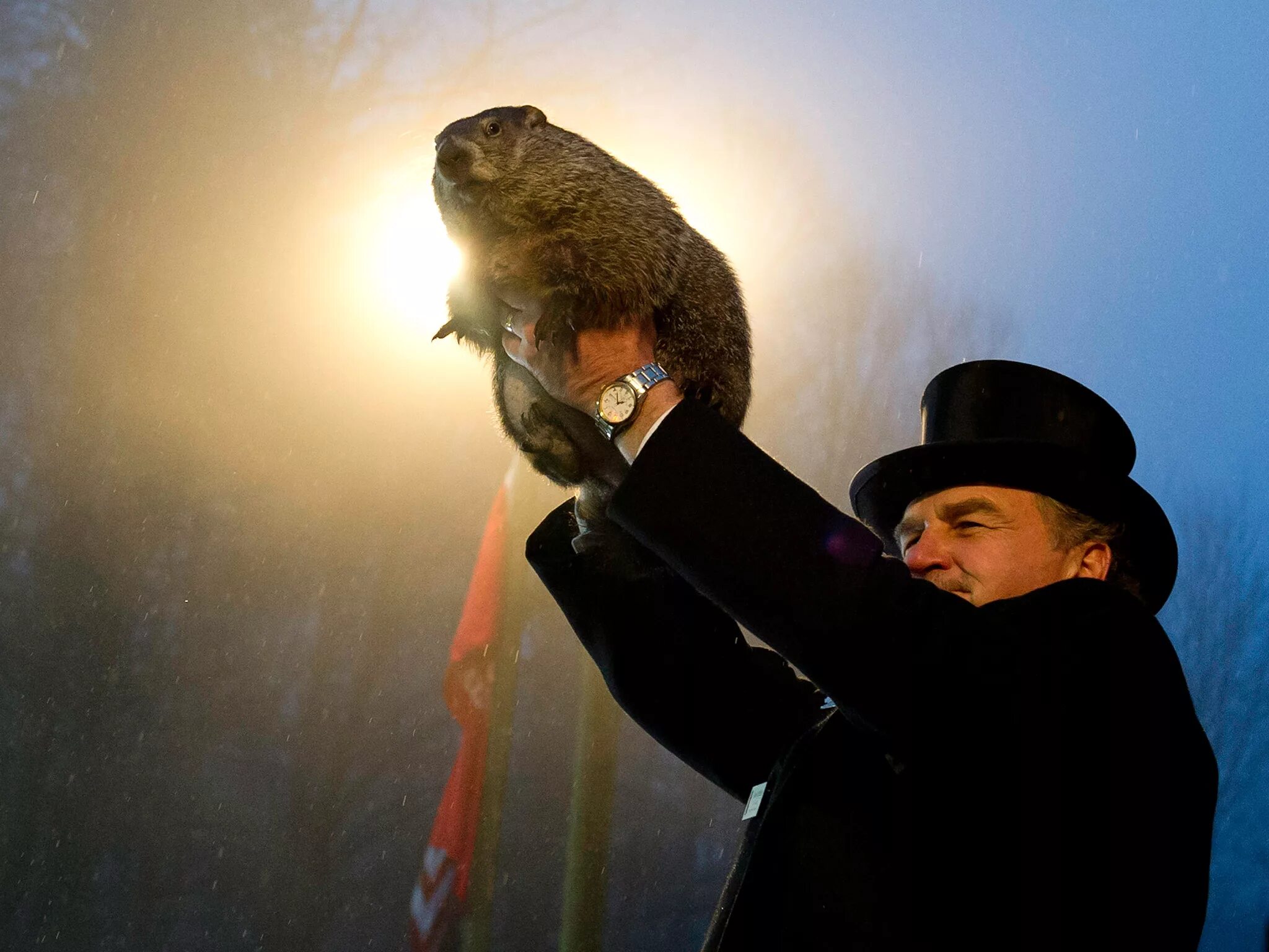 Панксатонский Фил сурок. Сурок Фил из Панксатони. День сурка фестиваль. Groundhog Day праздник. Знаменитый фил из панксатони 5 букв