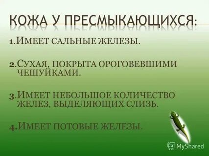 Пресмыкающиеся кожа без желез