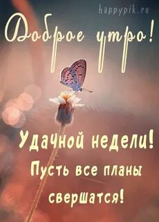 Доброго утра начала недели с пожеланиями