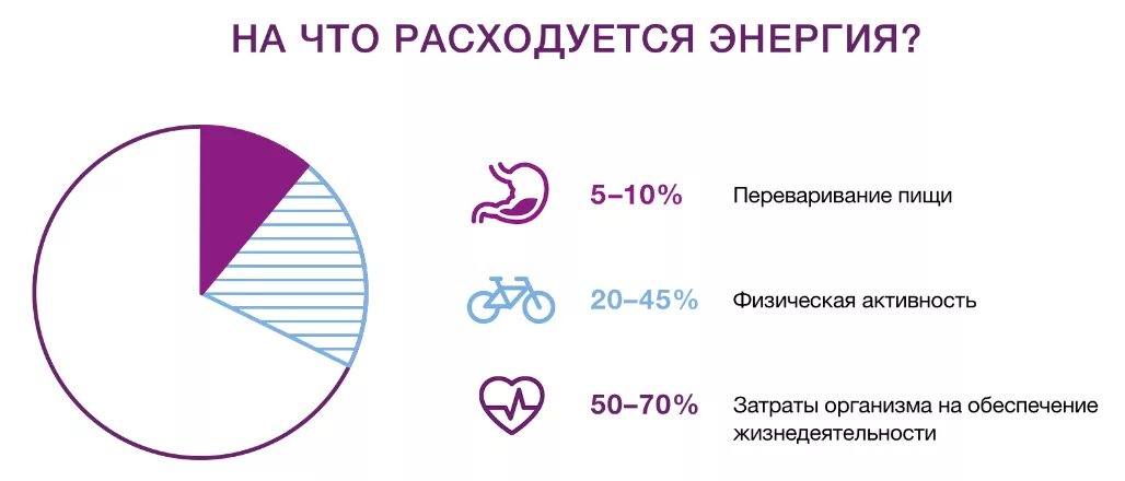 Сколько потребляет мозг. Затраты энергии в организме. На что тратится энергия человека. Расход энергии в организме. На чтоттратится энергия человека?.