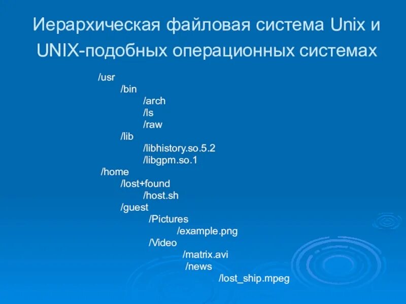 System usr. Иерархическая файловая система. Файловая система Unix. Файловая система Юникс. Структура файловой системы Unix.