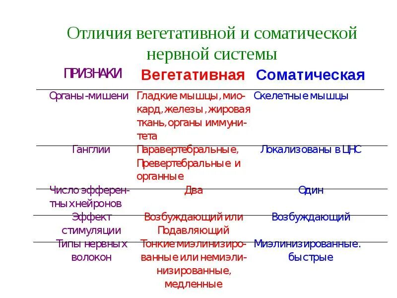 Таблица отличия ВНС от соматической. Отличия вегетативной нервной системы от соматической. Отличия соматической и вегетативной нервной системы таблица. Отличия соматической и вегетативной нервной системы физиология. Вегетативная нервная система конспект