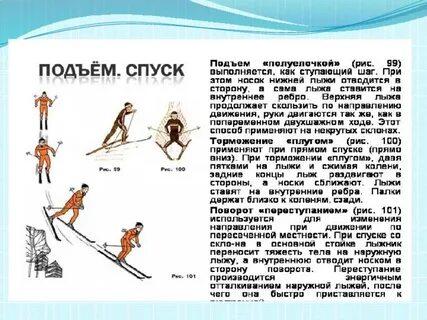 Реферат по лыжному спорту 9 класс
