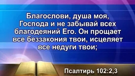 Благослови душа моя Господа и не забывай всех благодеяний его. Благослови душа моя Господа. Благослови душе моя. Он исцеляет все недуги Мои.