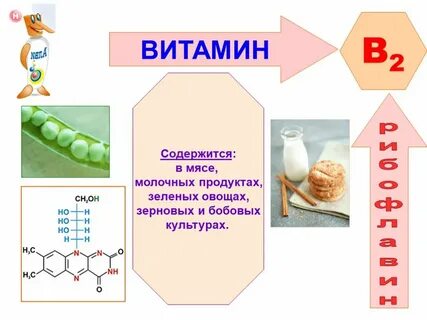 Бобовые витамины
