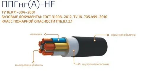 Ппгнг расшифровка