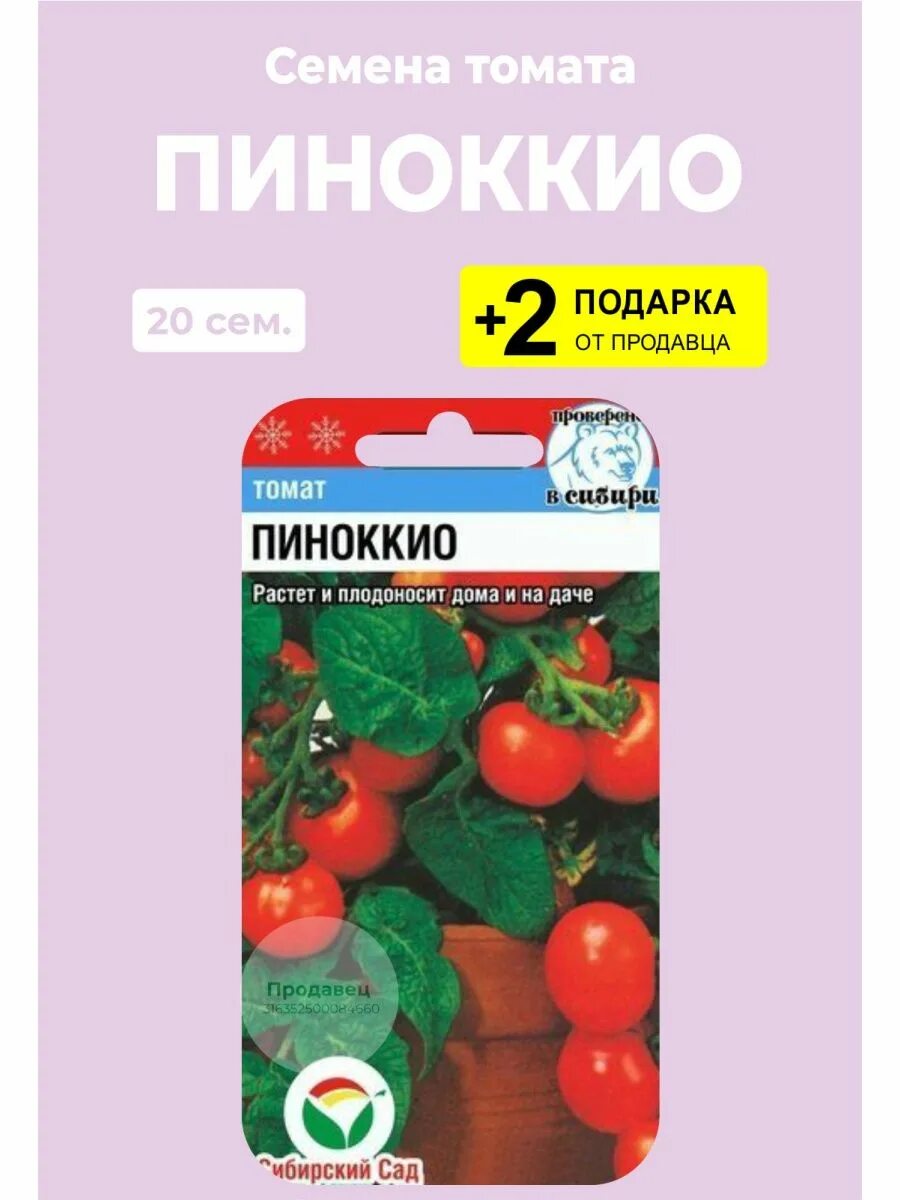 Помидоры пиноккио описание. Сорт Пиноккио томат. Томат Пиноккио (комнатный). Томат Пиноккио семена. Пиноккио томат описание.