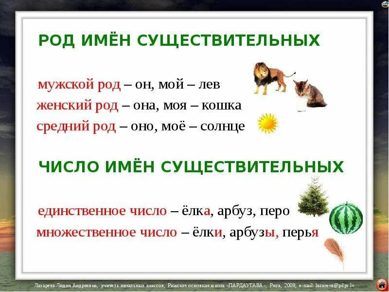 Род имен существительных. Род и число имен существительных. Имя существительное род. Род имен сущ.