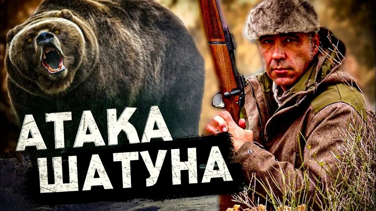 Рассказы про медведей шатунов