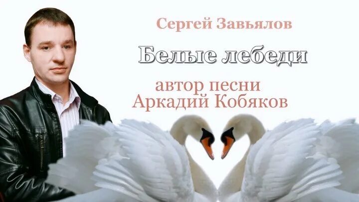 Песня белые лебеди автор. Завьялов и Кобяков. Лебеди Автор.