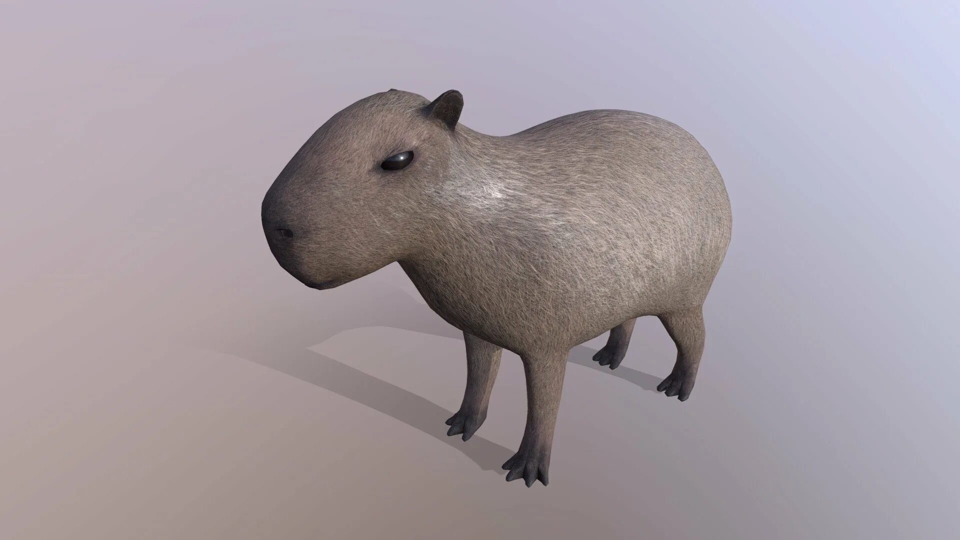Capybara игра