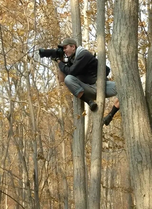 Смешной фотограф. Смешные позы фотографов. Фотограф в засаде. На дереве с биноклем.